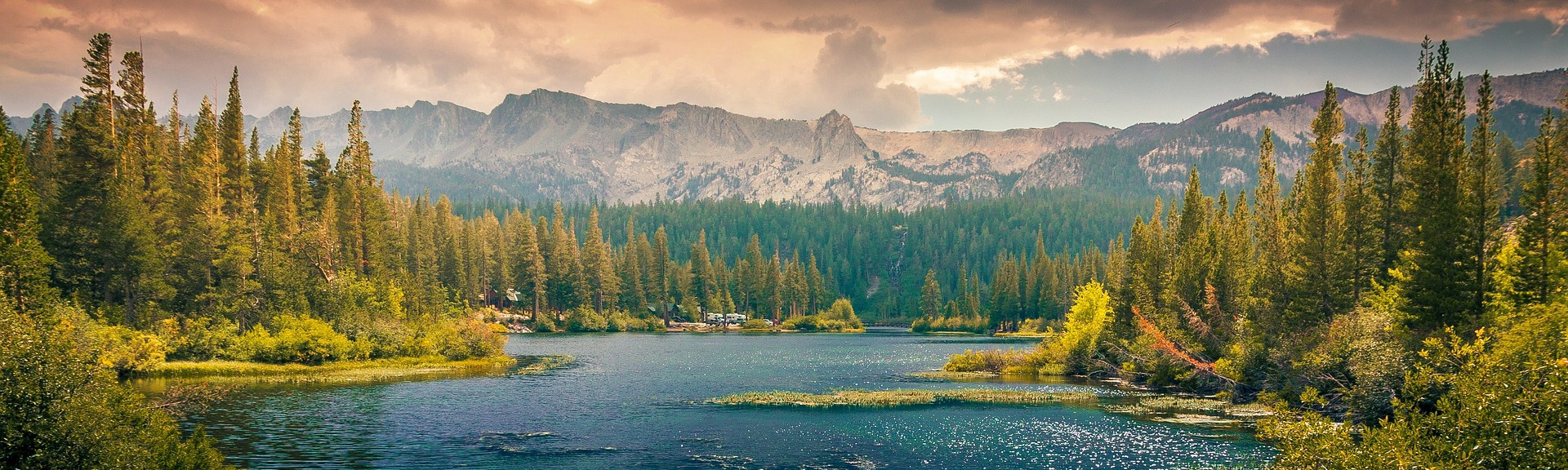 Caitlyn Huntingfield